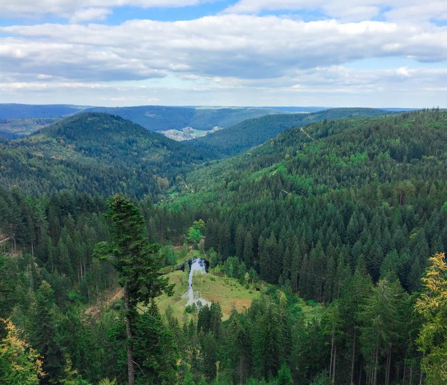Kraehenbad Hotel Альпирсбах Экстерьер фото