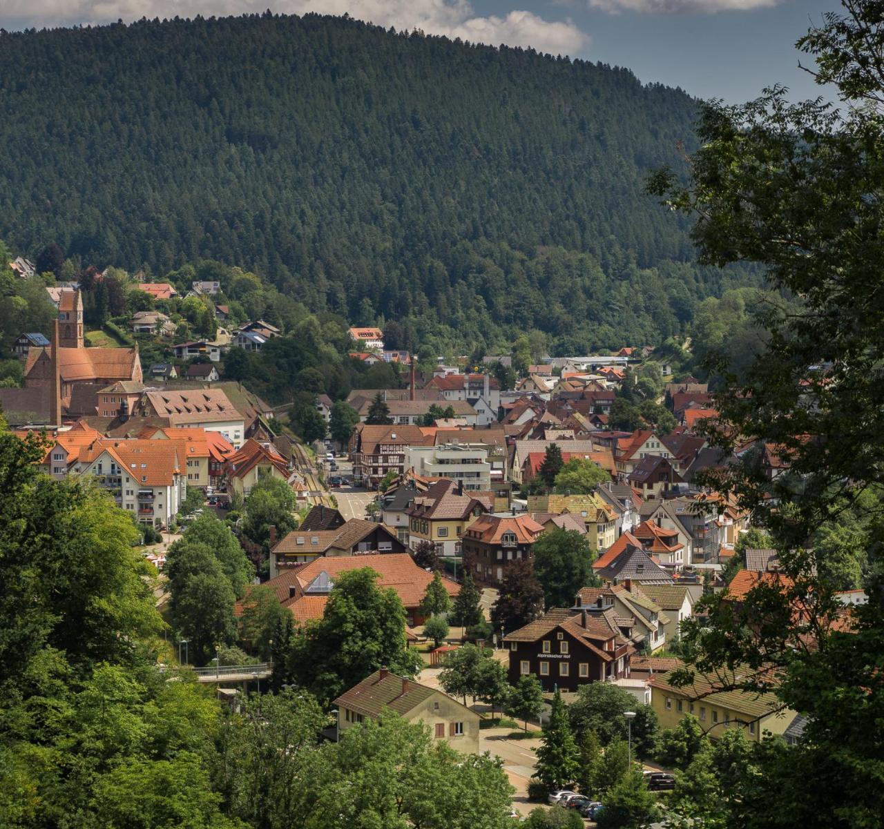 Kraehenbad Hotel Альпирсбах Экстерьер фото