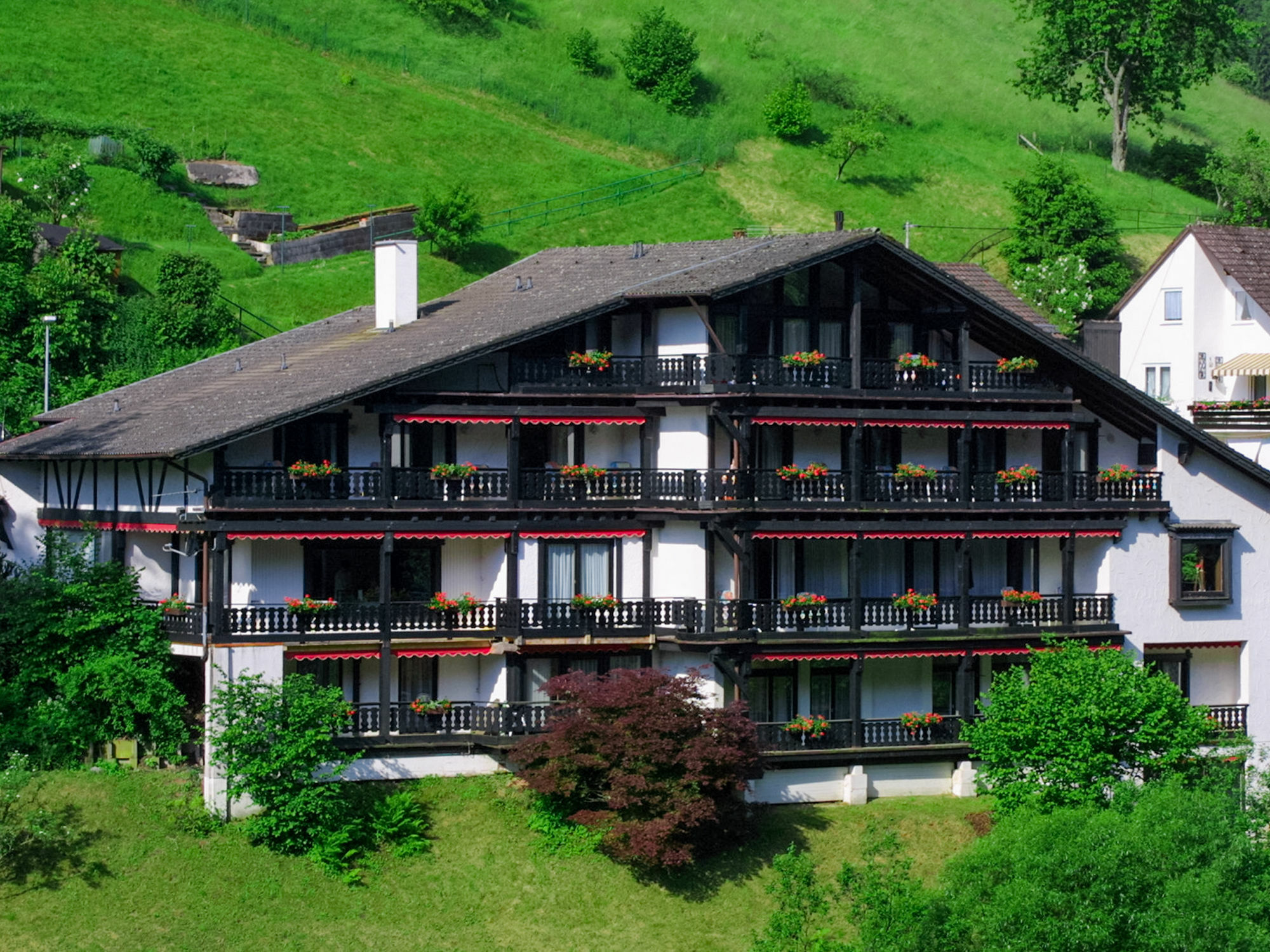 Kraehenbad Hotel Альпирсбах Экстерьер фото