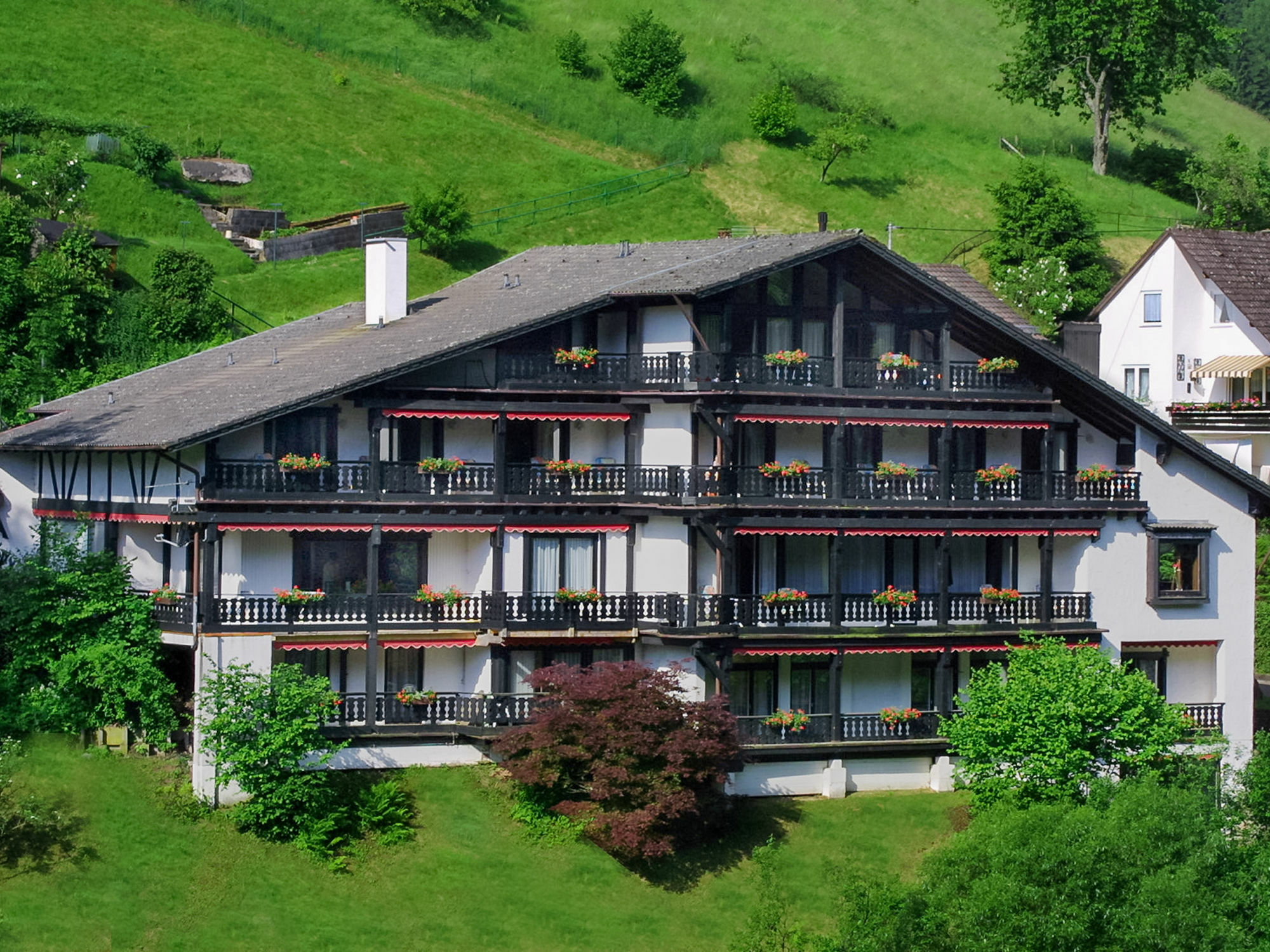 Kraehenbad Hotel Альпирсбах Экстерьер фото